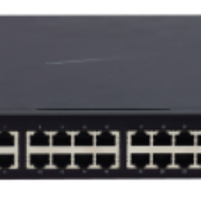 Ray RSBCC0N163 24 Port Access Switch (POE)