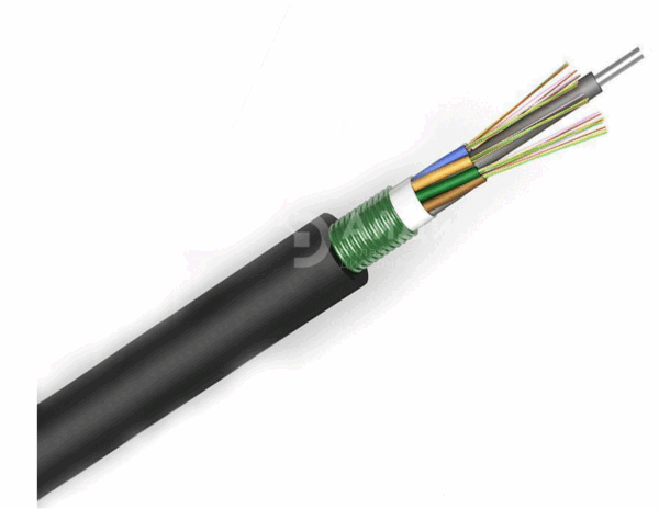 Siemon 24 Strand Singlemode Armored, LT, GF, OSP -10G,MDPE